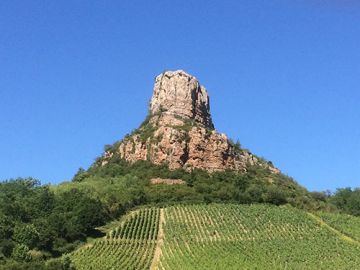 Mâcon and the Beaujolais wine route - Full day
