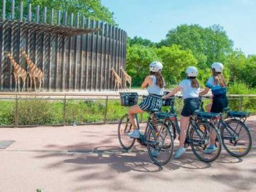 Cycling in the Parc de la Tête d'Or - 2h