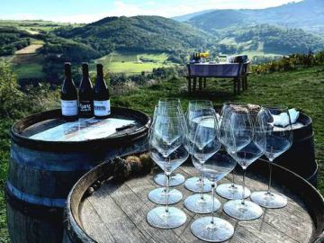 Gourmet Beaujolais - Half day