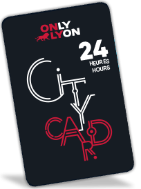 Lyon City Card 24h: Adult