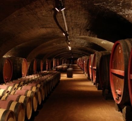 Beaujolais wines and châteaux, half-day tour