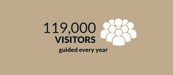 119000 visitors